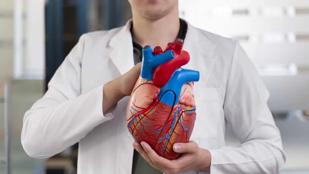 Arritmia cardíaca tem cura? veja causas e tratamentos